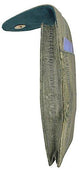 EW508/Waterproof Genuine Eel Skin Leather Eyeglasses Case NEW-[Marshal wallet]- leather wallets